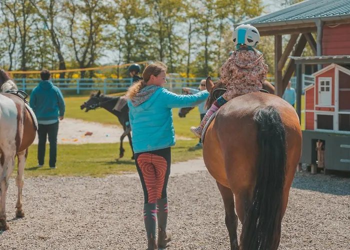 Vento Westermarkelsdorf